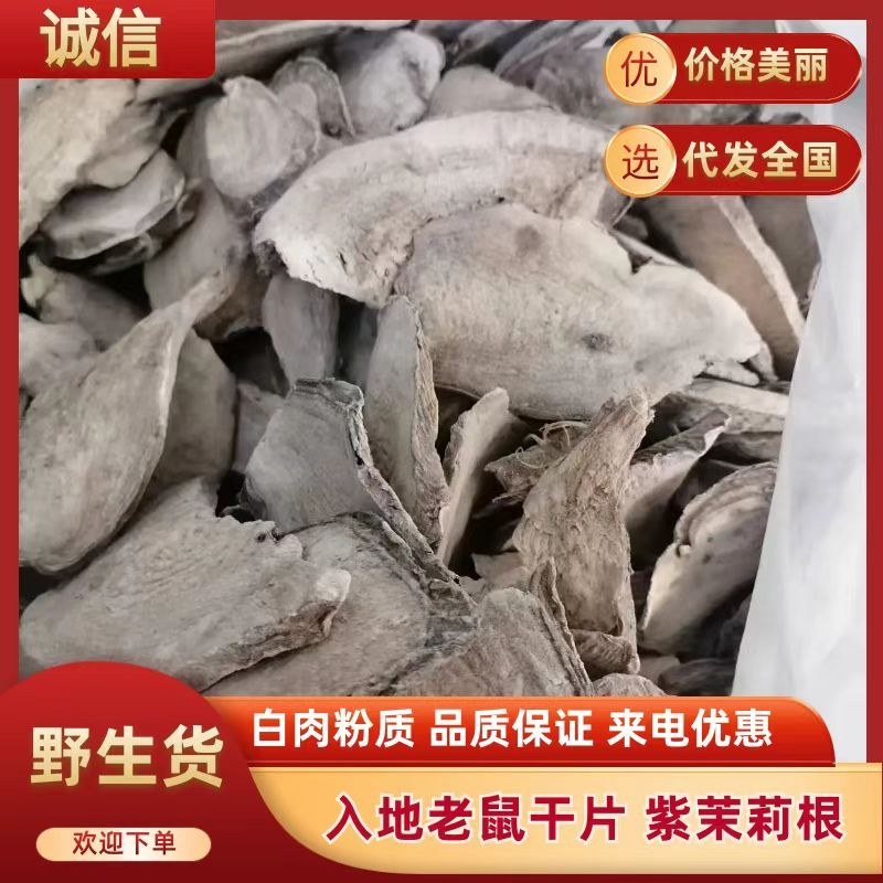 广东入地老鼠干货入地老鼠干货紫茉莉根干货