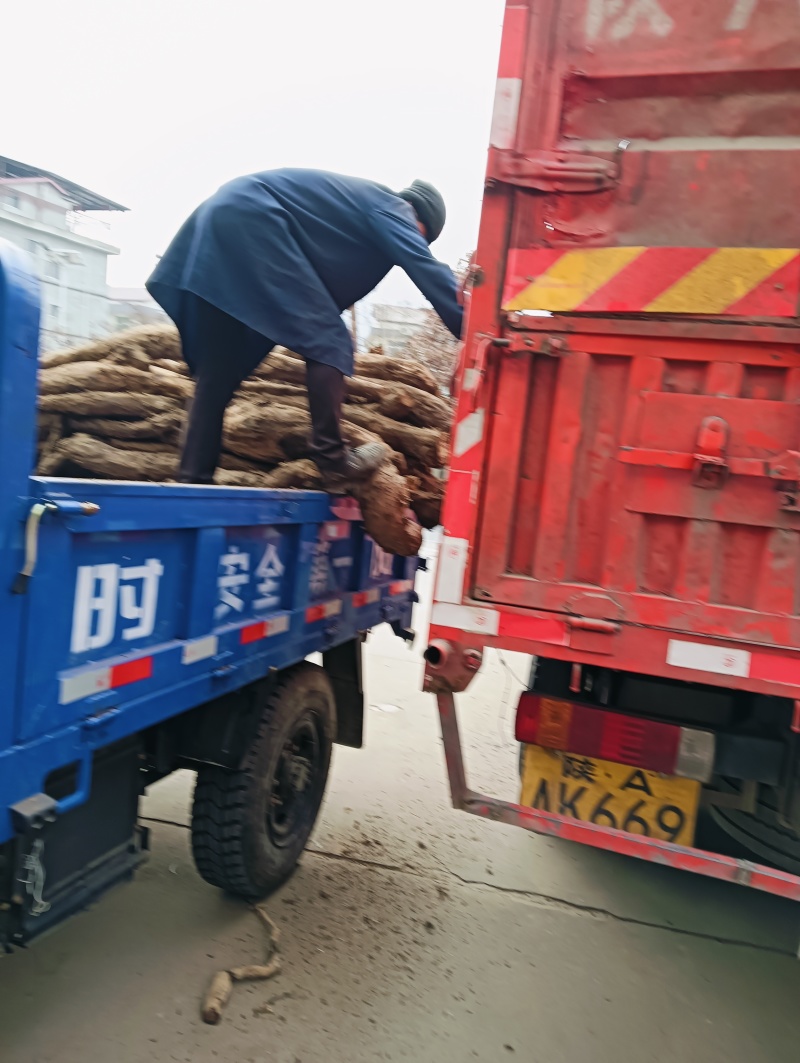 葛根24小时在线服务无杂质自产自销