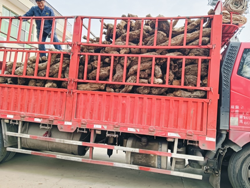 葛根24小时在线服务无杂质自产自销