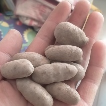 手捡**大豆