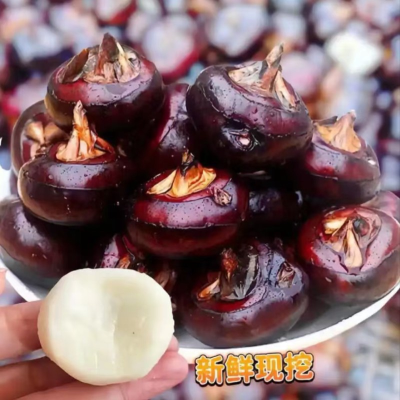 广西桂林荔浦马蹄新鲜农家现挖欢迎抢购