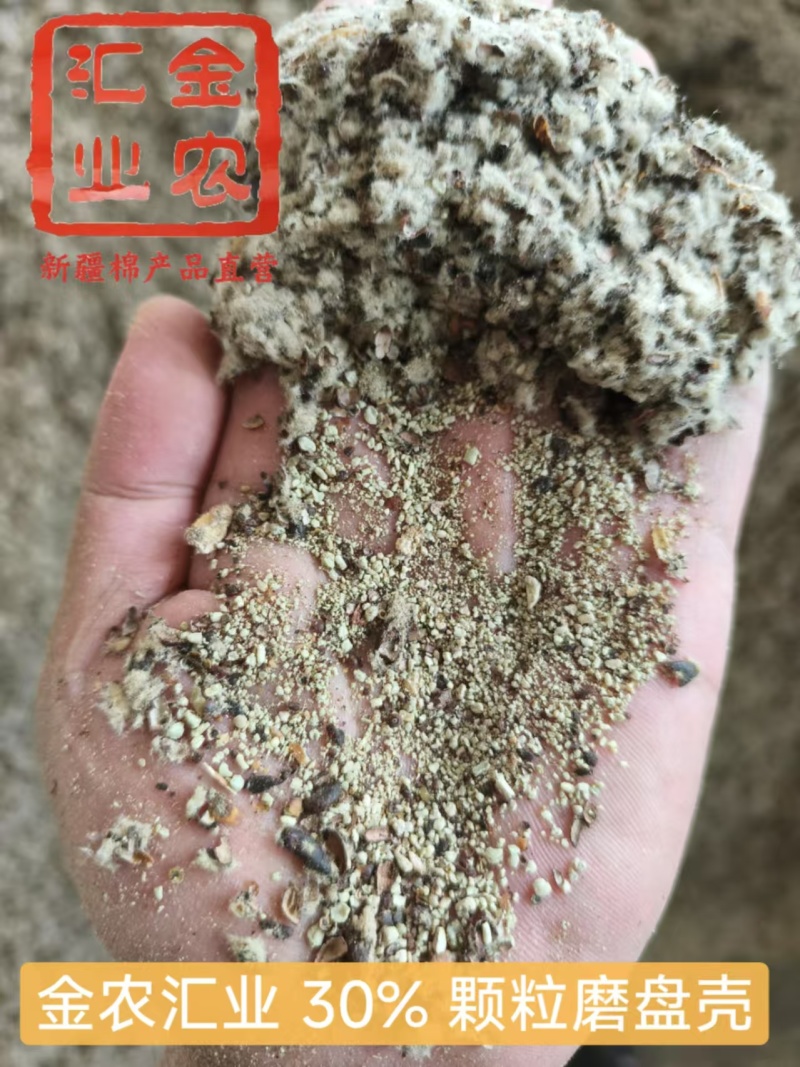 新疆优质磨盘壳（高含粉）