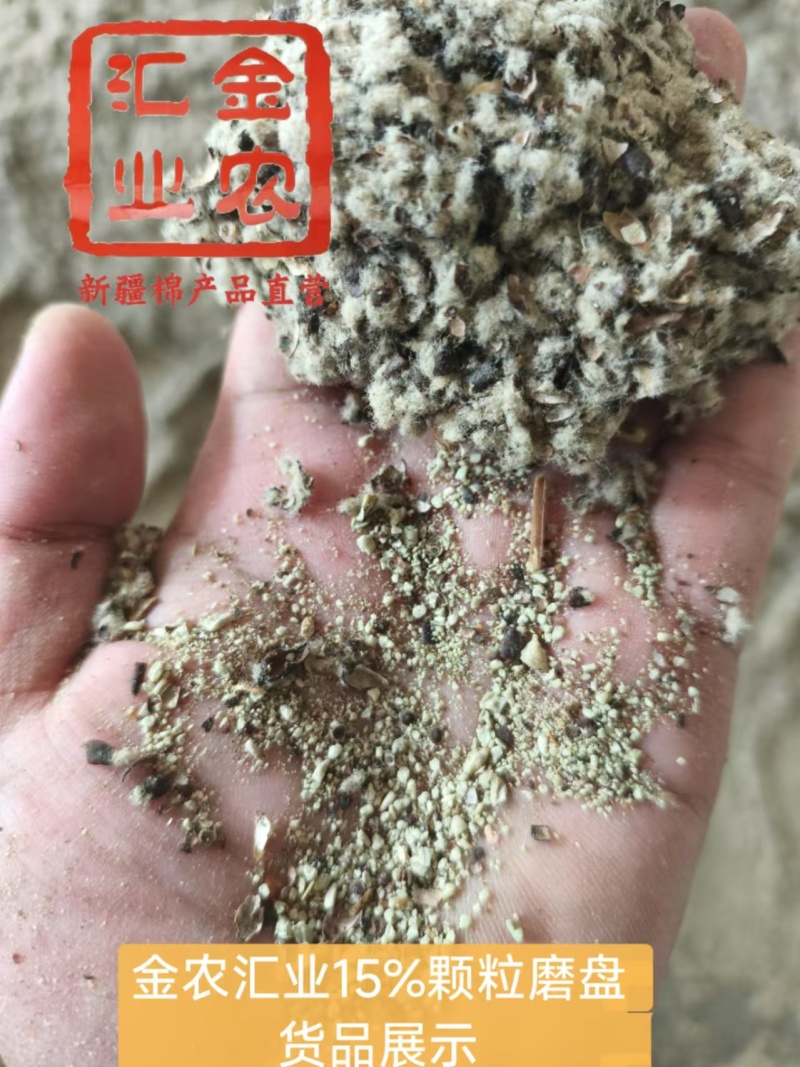 新疆优质磨盘壳（高含粉）