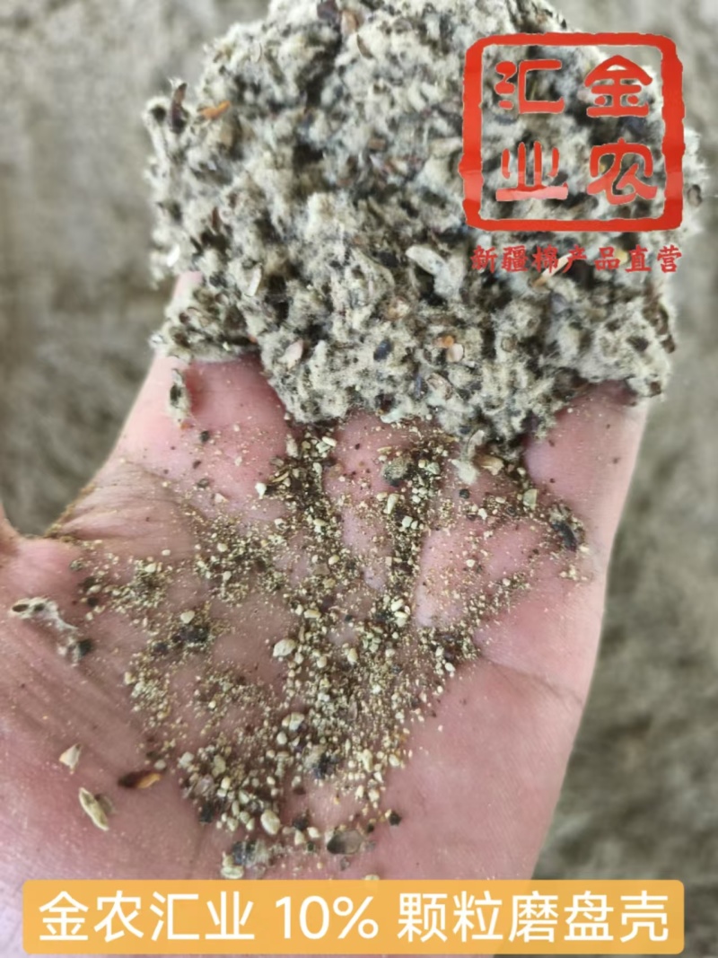 新疆优质磨盘壳（高含粉）