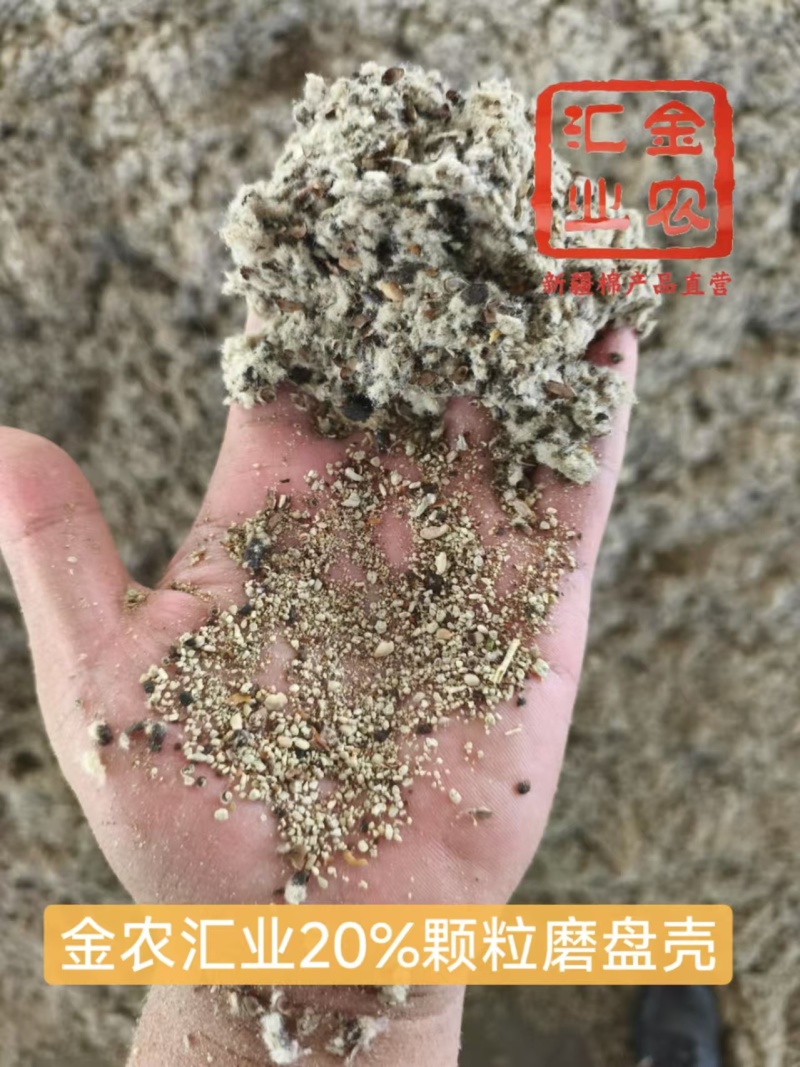 新疆优质磨盘壳（高含粉）