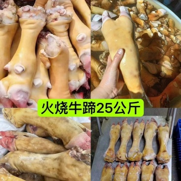 火烧牛蹄，水退牛蹄，半去骨牛蹄，全去骨牛蹄，源头厂家直销