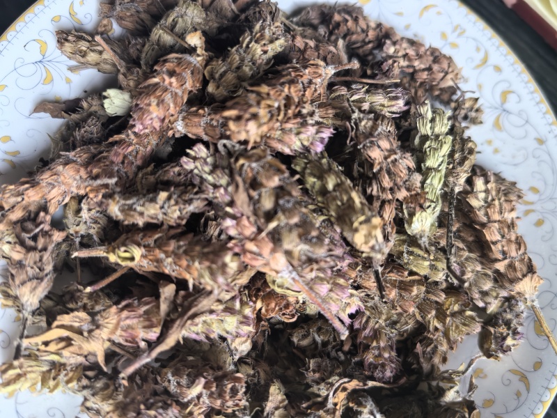 野生夏枯球