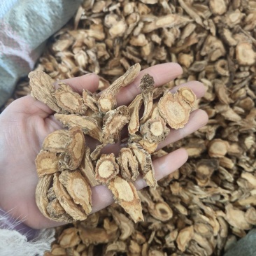防风大片祥泰药材栈中药材批发零售实物拍摄量多从优欢迎