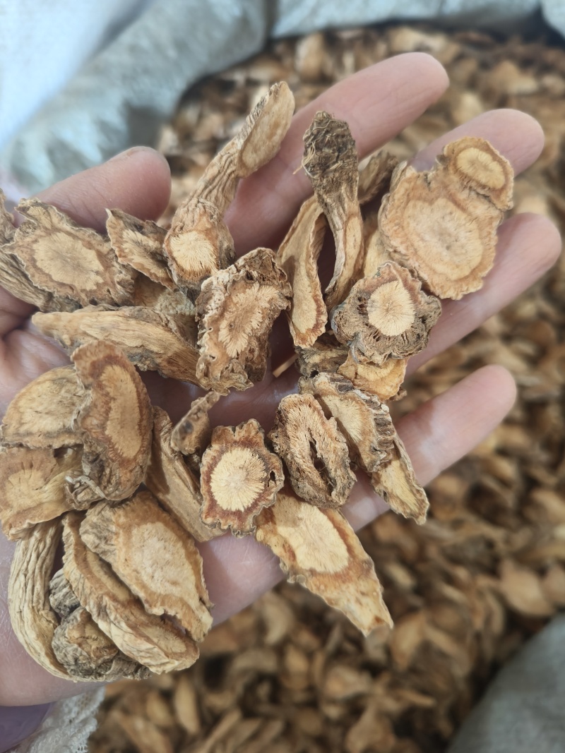 防风大片祥泰药材栈中药材批发零售实物拍摄量多从优欢迎