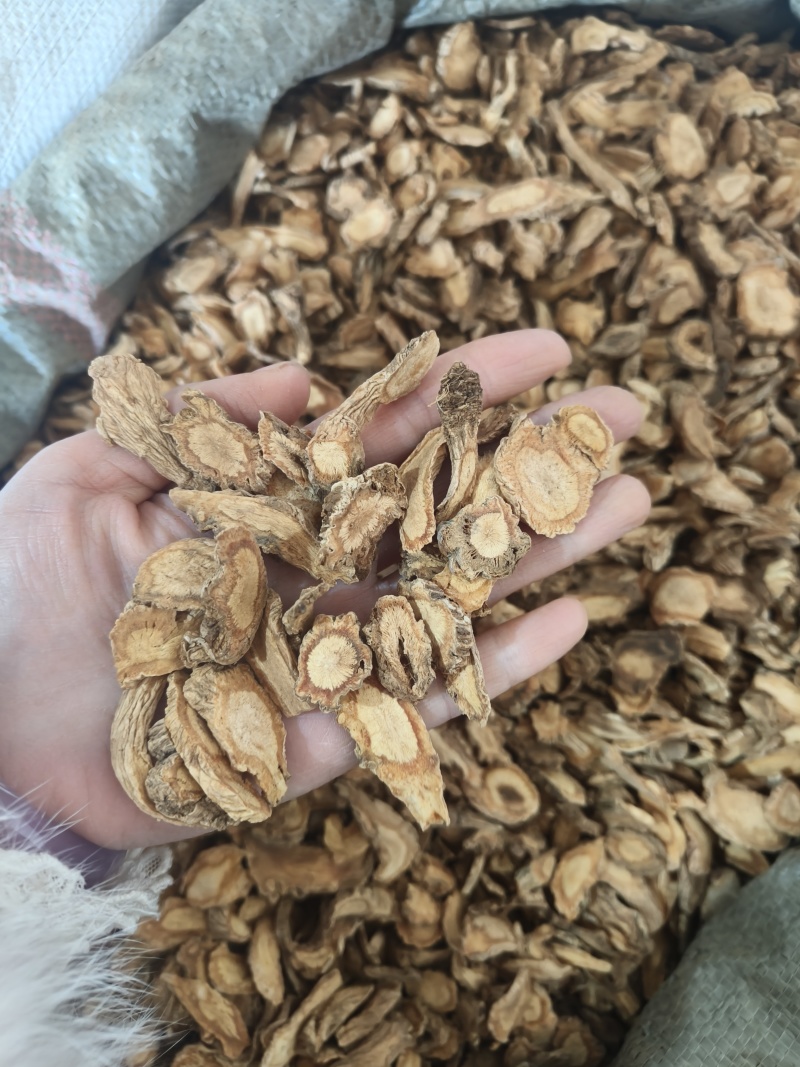 防风大片祥泰药材栈中药材批发零售实物拍摄量多从优欢迎