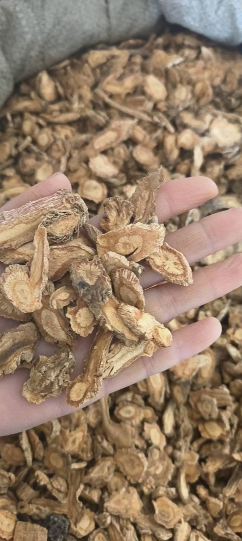 防风大片祥泰药材栈中药材批发零售实物拍摄量多从优欢迎