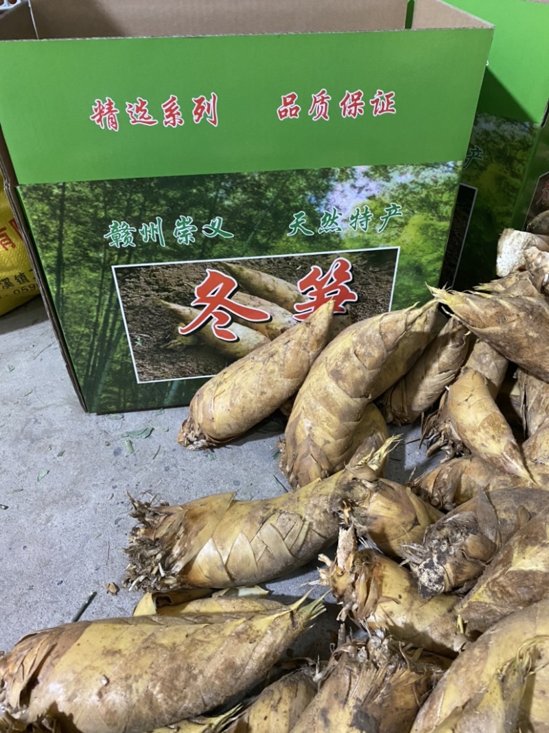江西新鲜黄泥冬笋，整车发货，量大从优。