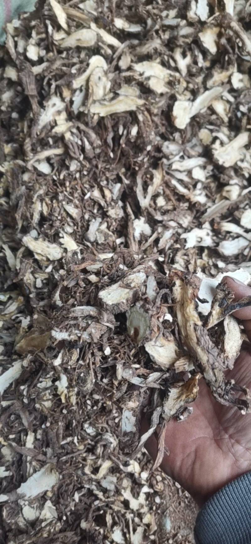 当归片，四川当归片，还有少量个子，全都水洗无硫