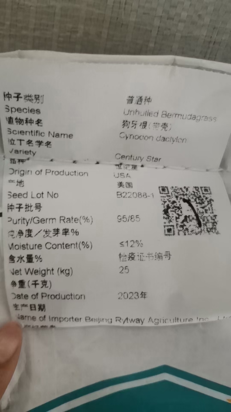 狗牙根草籽原种带壳矮生民宿露营公园绿化耐践踏草坪种子