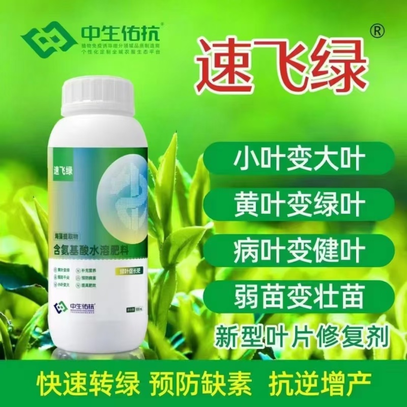 速飞绿预防干尖提高肥效
