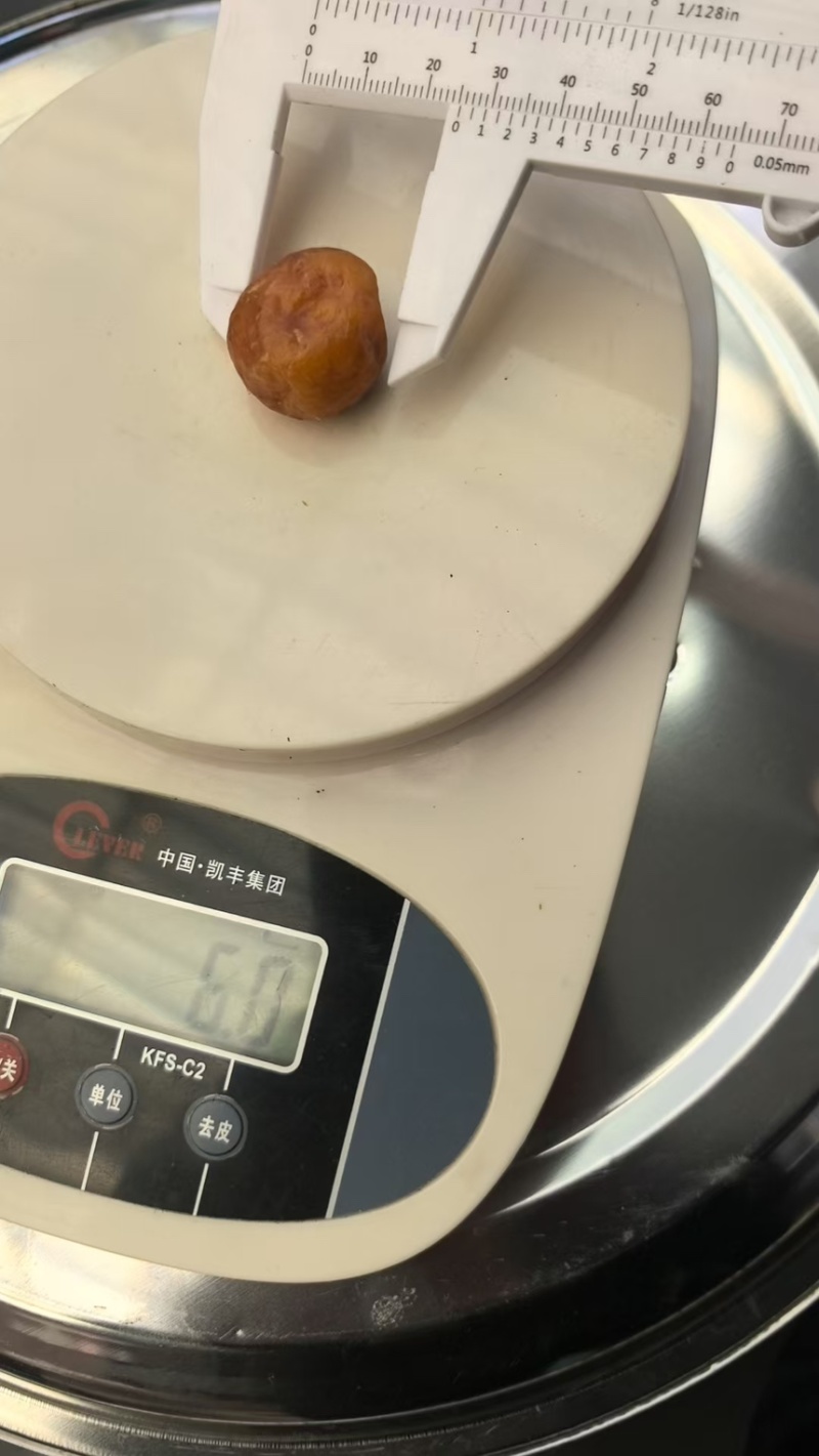 鸡宝
