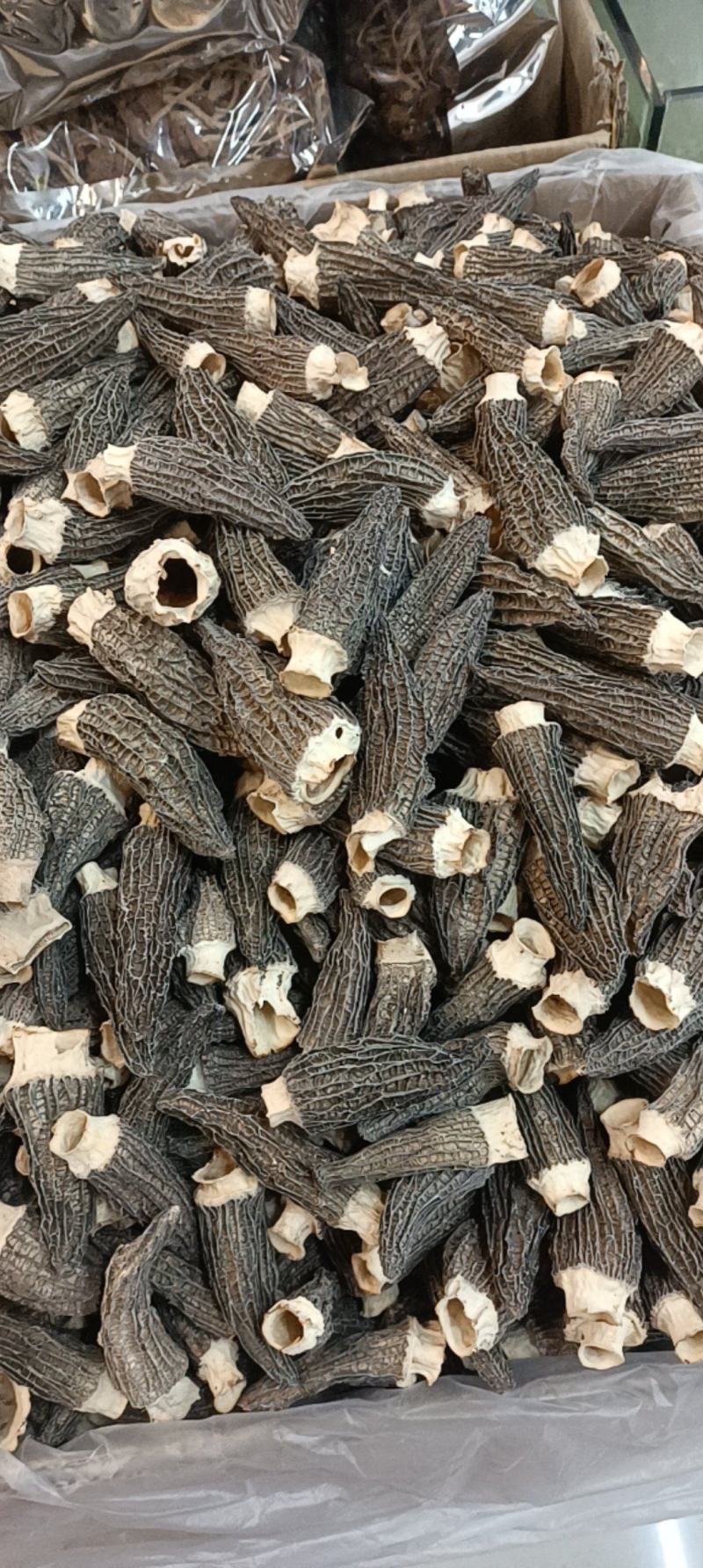 羊肚菌规格多货品齐需要的欢迎资讯各种礼盒装