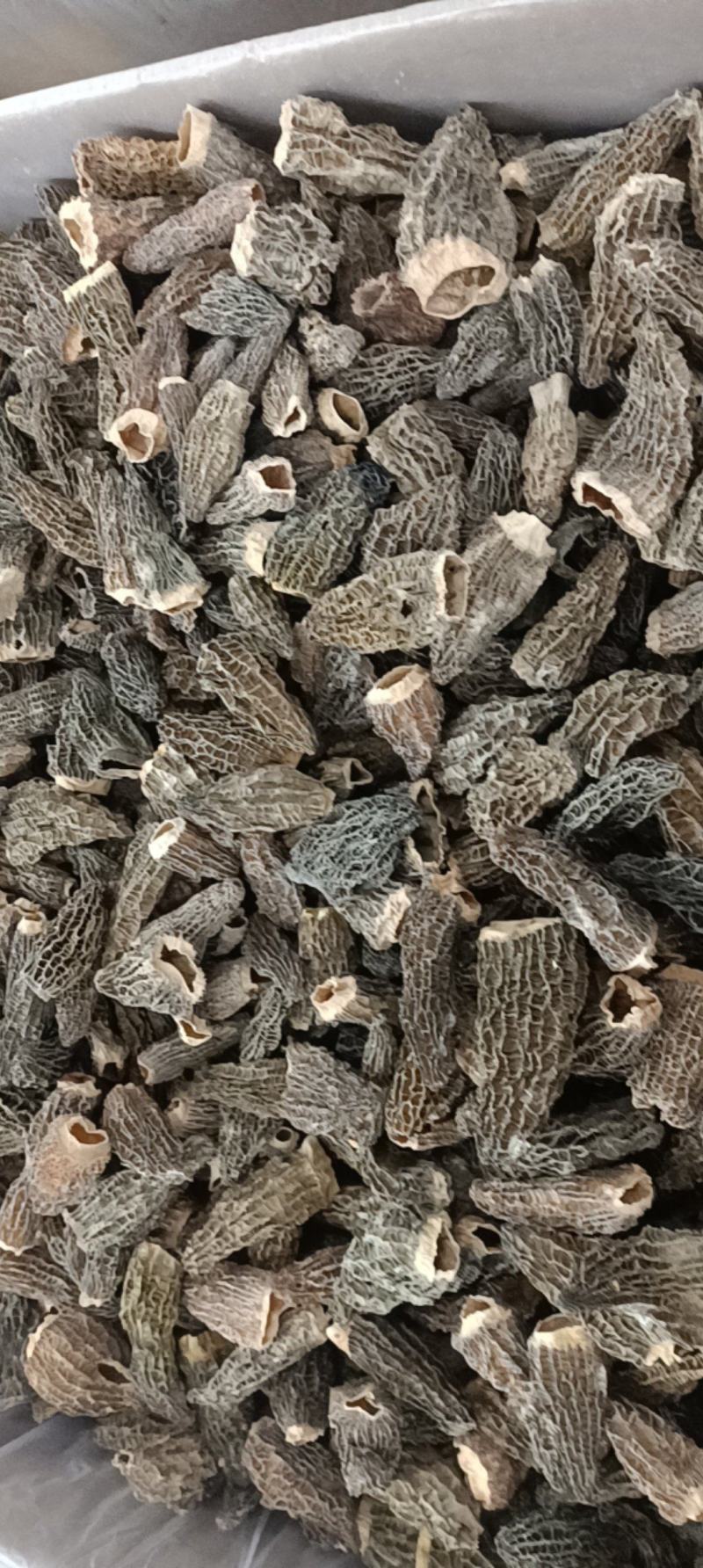 羊肚菌规格多货品齐需要的欢迎资讯各种礼盒装