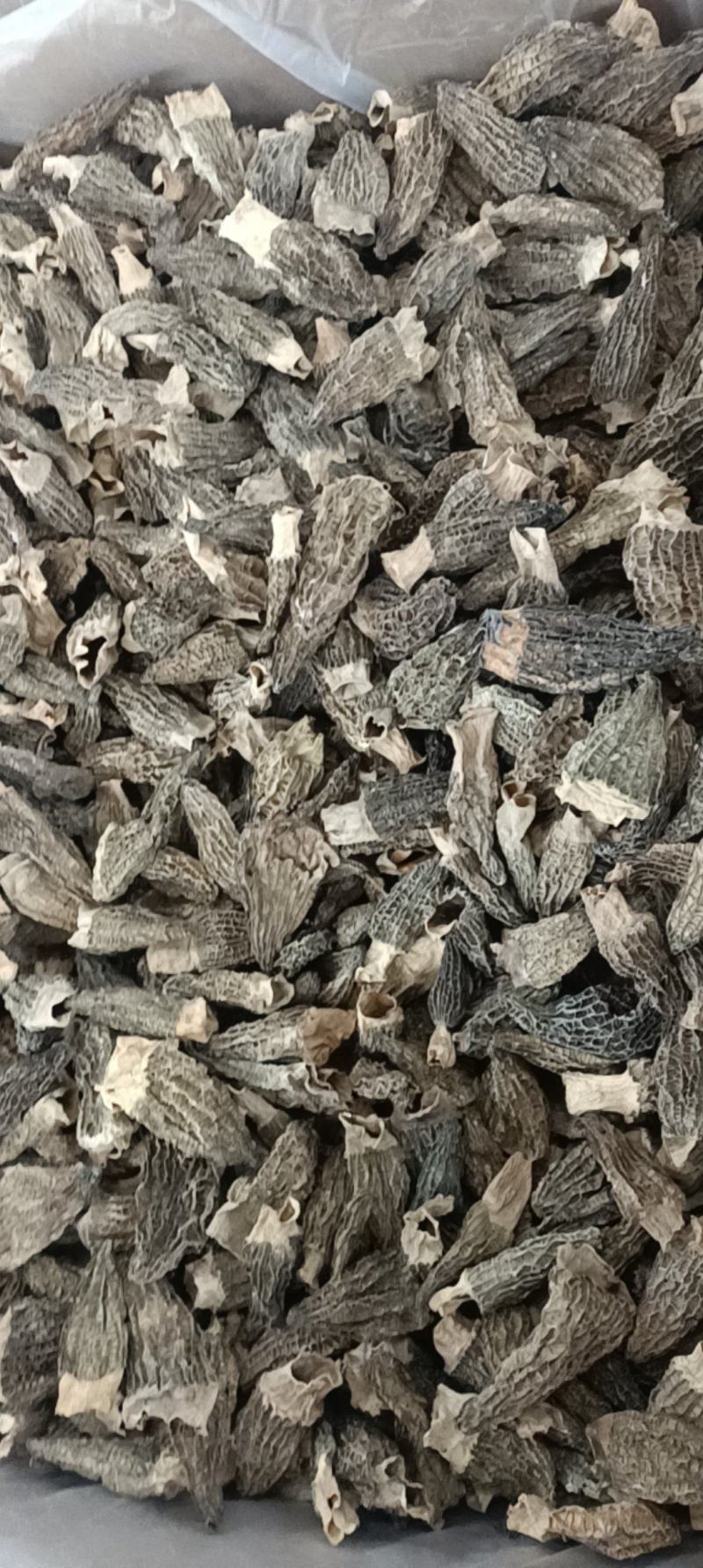 羊肚菌规格多货品齐需要的欢迎资讯各种礼盒装