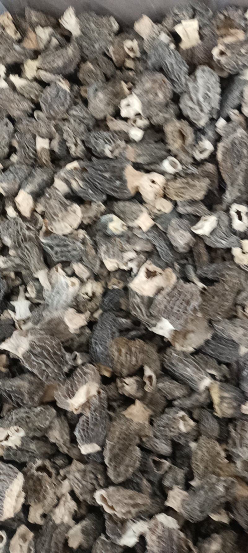 羊肚菌规格多货品齐需要的欢迎资讯各种礼盒装