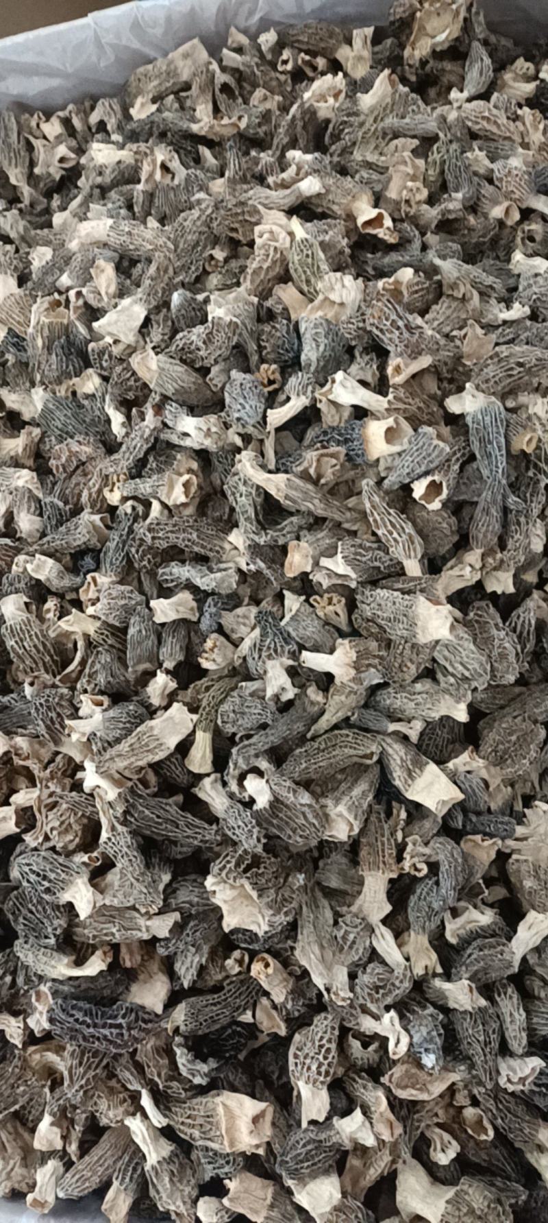 羊肚菌规格多货品齐需要的欢迎资讯各种礼盒装