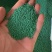 狗牙根包衣草坪草籽低矮耐践踏公园庭院别墅小区绿化草皮种子
