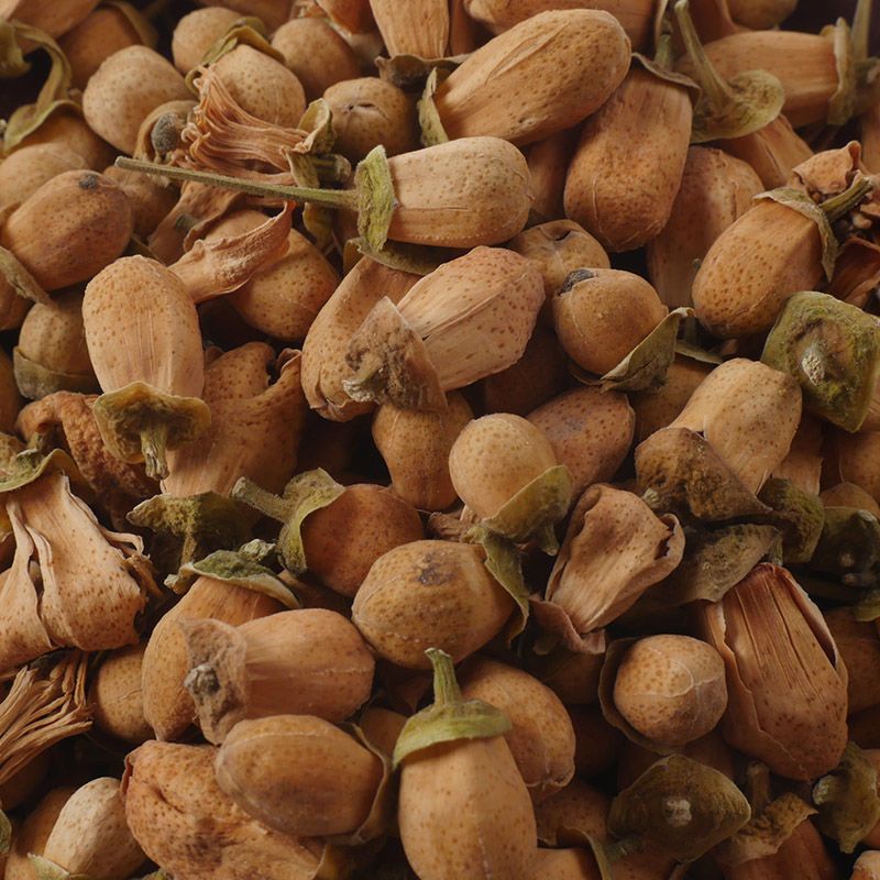 柚子花1公斤中药材新鲜晒干柚子花柚子花茶柚子花
