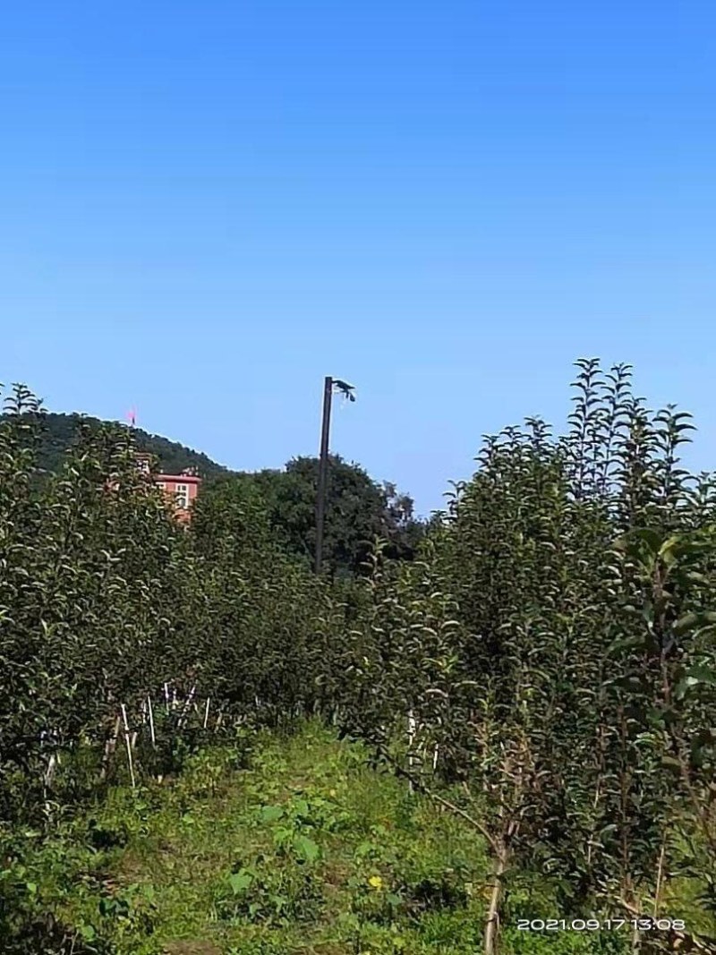 太阳能户外无线监控摄像头360度农村4G无网无电连手机全