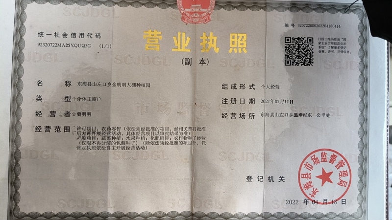 西红柿