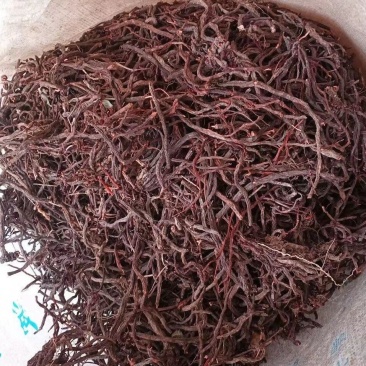 云南野生中药材小红参滇紫参小红药小舒筋正品