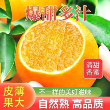 云南高原沃柑新鲜纯甜桔子应季薄皮橘子净重5斤单果70mm