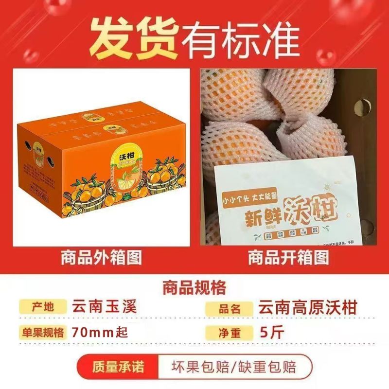云南高原沃柑新鲜纯甜桔子应季薄皮橘子净重5斤单果70mm