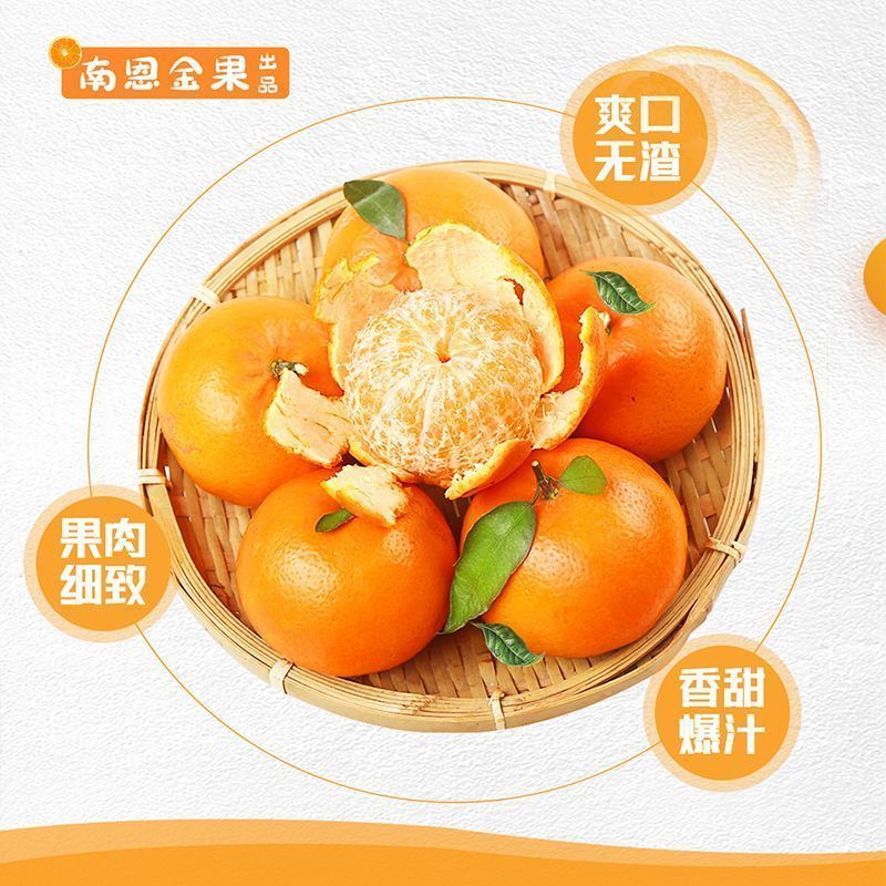 云南高原沃柑新鲜纯甜桔子应季薄皮橘子净重5斤单果70mm