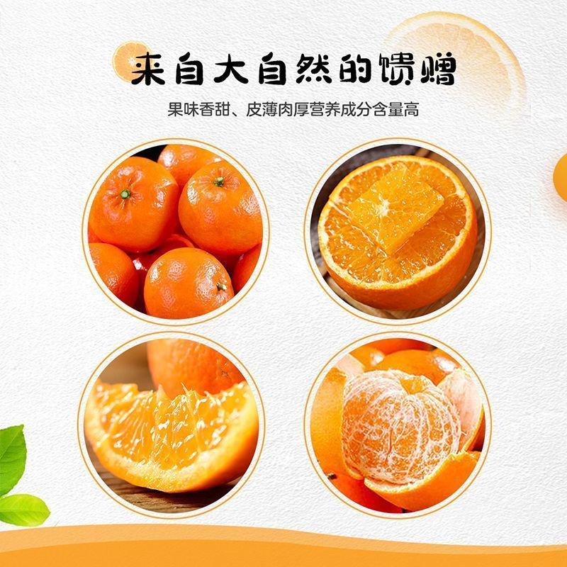 云南高原沃柑新鲜纯甜桔子应季薄皮橘子净重5斤单果70mm