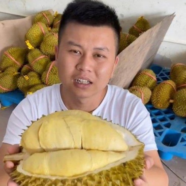 金枕榴莲一手批发价格，A果保5房，坏果包赔，货到付款