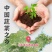 西红柿苗寿光基地直发南方北方皆可种大粉西红柿苗番笳苗高产