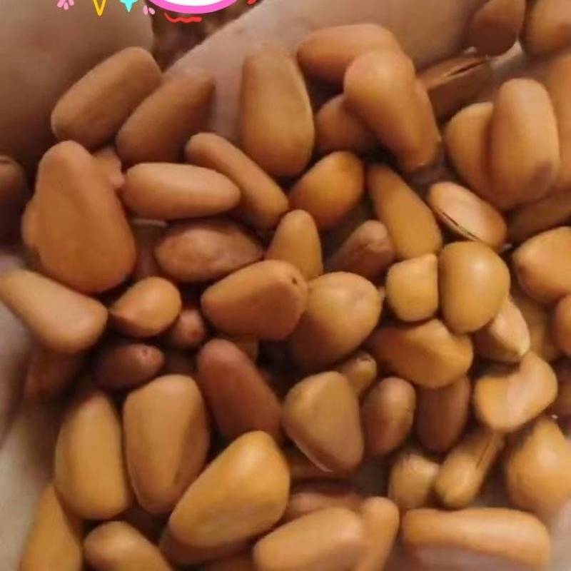 东北铁岭开口大松子熟制坚果零食批发直销一件代发