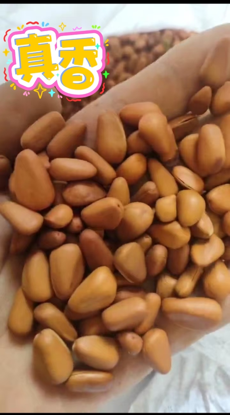 东北铁岭开口大松子熟制坚果零食批发直销一件代发