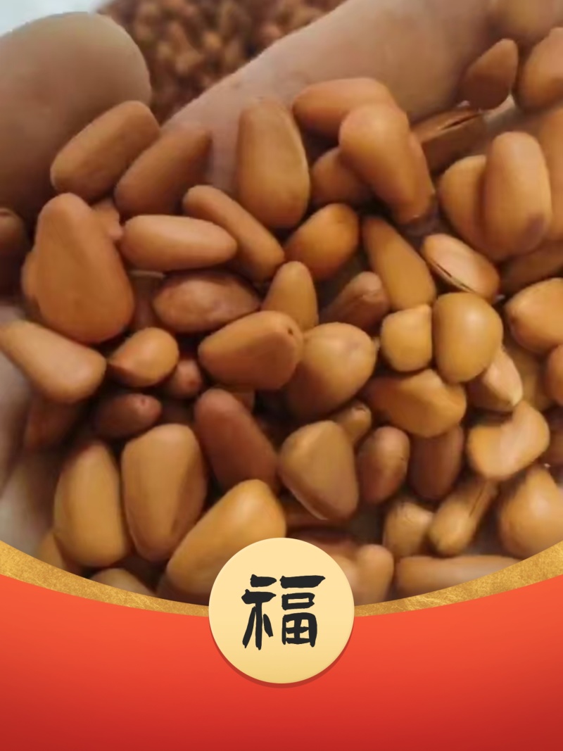 东北铁岭开口大松子熟制坚果零食批发直销一件代发