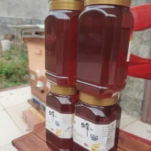 荆条蜂蜜湖南精品蜂蜜甜度高个人养殖无任何添加剂