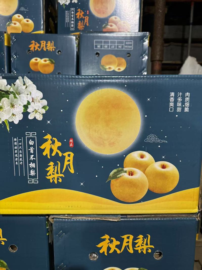 河北省邢台市宁晋县秋月梨代售，汁水足甜