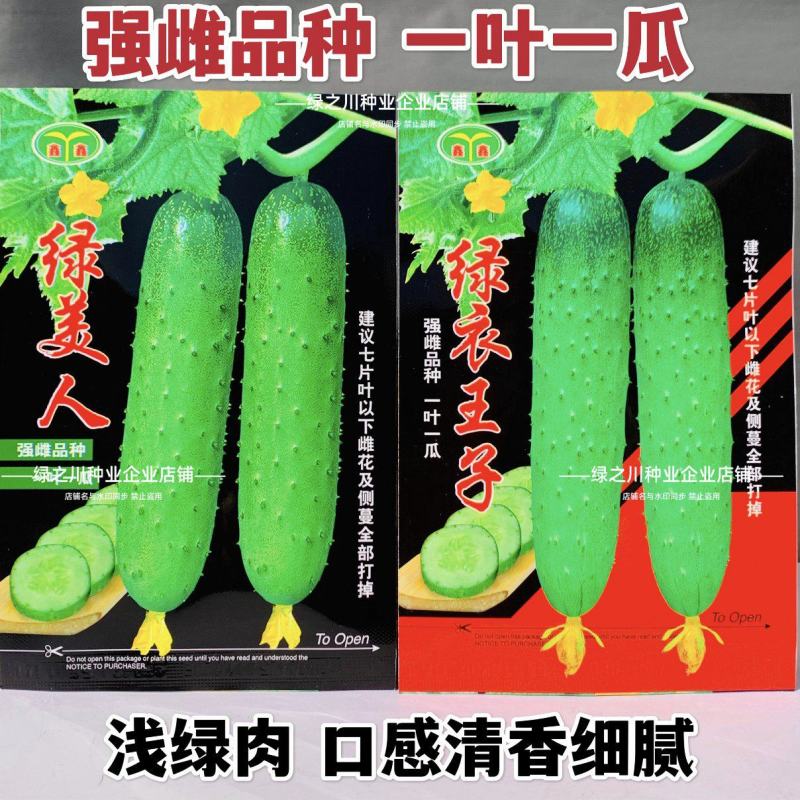 绿美人水果黄瓜种子清香细腻甜脆强雌型黄瓜种籽节节有瓜春秋