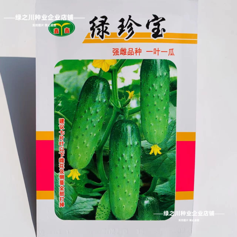 绿美人水果黄瓜种子清香细腻甜脆强雌型黄瓜种籽节节有瓜春秋