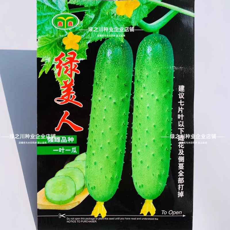 绿美人水果黄瓜种子清香细腻甜脆强雌型黄瓜种籽节节有瓜春秋