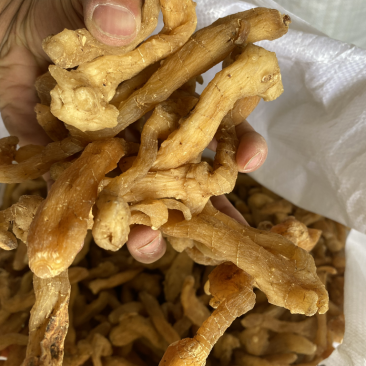 鸡头黄精无硫，可泡酒