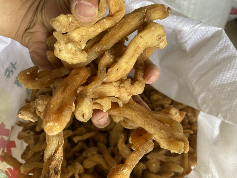 鸡头黄精无硫，可泡酒