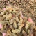 新疆吐鲁番无核白葡萄干黄，都是现在，量大从优