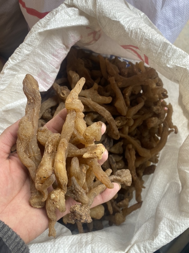 鸡头黄精无硫，可泡酒