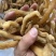 鸡头黄精无硫，可泡酒