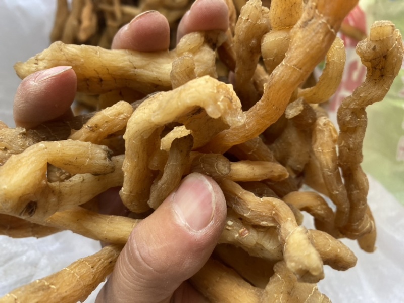 鸡头黄精无硫，可泡酒